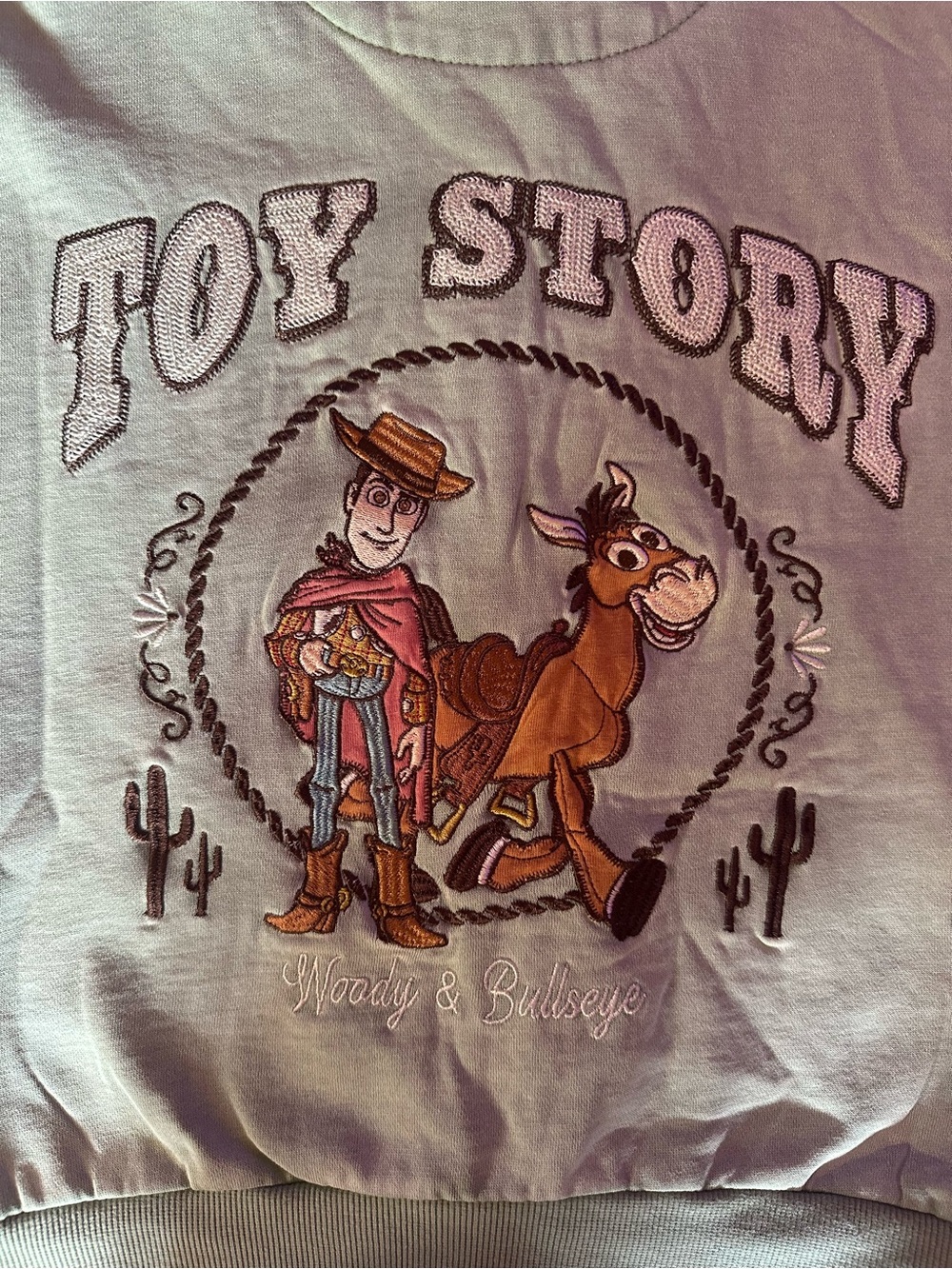 Light Green Disney Toy Story Hooded Zip-Up Sweatshirt